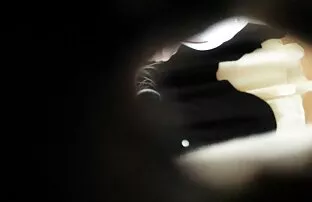 XXX وزیر در کار مکیدن رئیس سكس متحرك كون