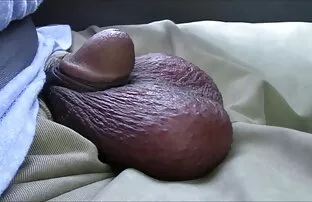 XXX بار تصاویری سکسی متحرک اول لیس مردی از الاغش