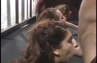 XXX لزبین ها کیرکلفت متحرک در بالا