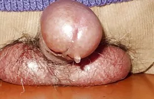 XXX سبک های سکس متحر کاپری