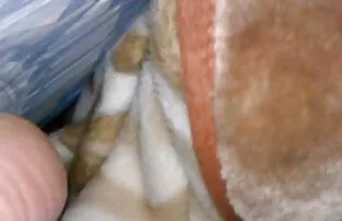 XXX فاک سکس متحرک کوس روسی